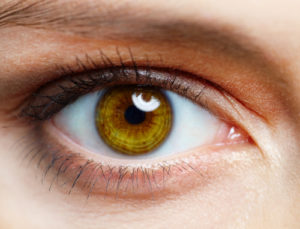 Top 5 Interesting Facts About Your Eyes