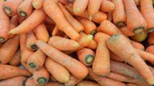 5 Vitamins and Nutrients that Should be a Part of Your Diet